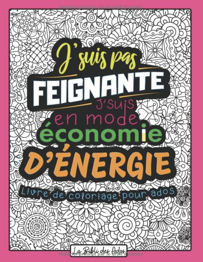 J'suis pas Feignante J'suis en mode Économie d'énergie Livre de Coloriage Drôle et Décalé