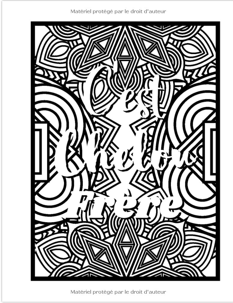 J'suis pas Feignante J'suis en mode Économie d'énergie Livre de Coloriage Drôle et Décalé