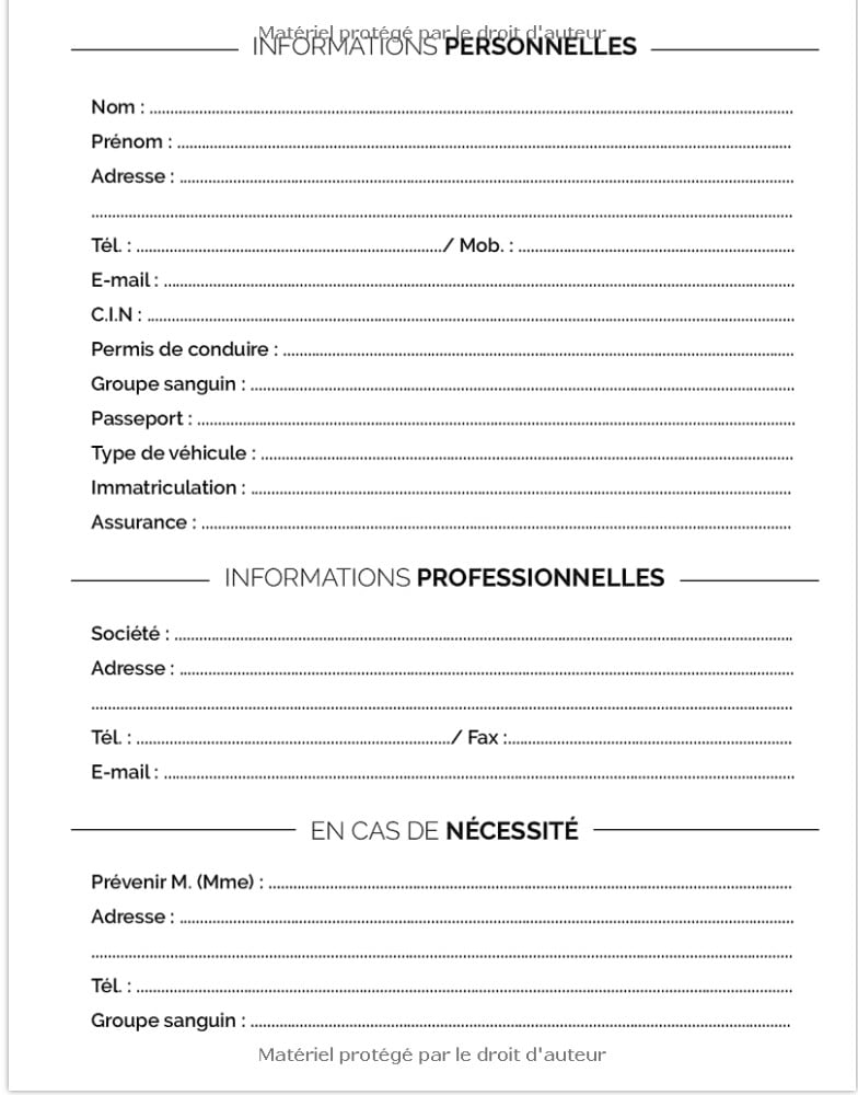 Agenda 2022 Planificateur journalier grand format A4
