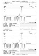 CAHIER DE TRANSMISSIONS ULTRA-COMPLET POUR ASSISTANTE-MATERNELLE AGRÉÉE 150 Fiches