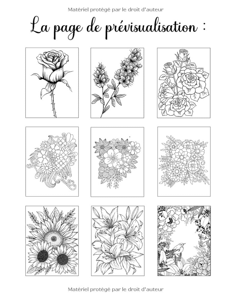 100 Fleurs Faciles à Colorier 100 Pages à Colorier Facilement avec de Merveilleuses Fleurs pour se relaxer