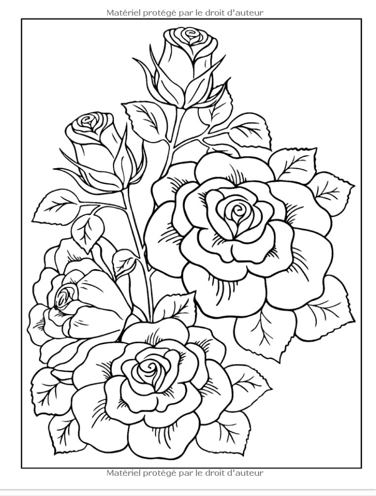 100 Fleurs Faciles à Colorier 100 Pages à Colorier Facilement avec de Merveilleuses Fleurs pour se relaxer