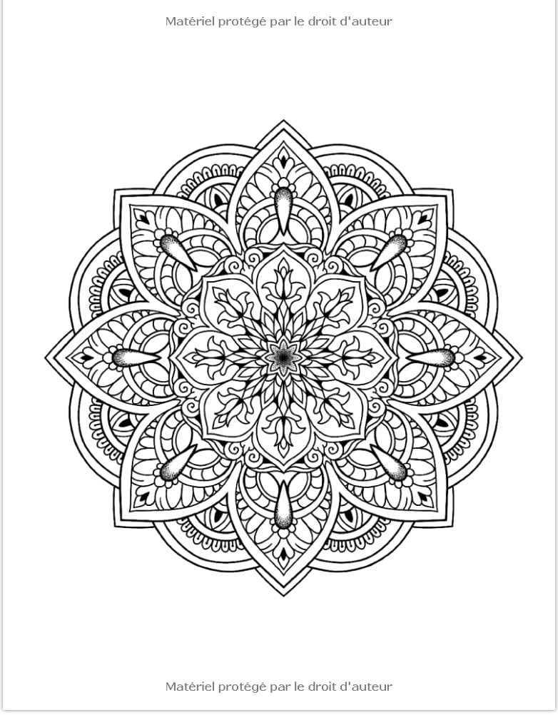 Art de Mandala Livre de Coloriage Adulte Anti Stress. 50 Mandalas a Colorier