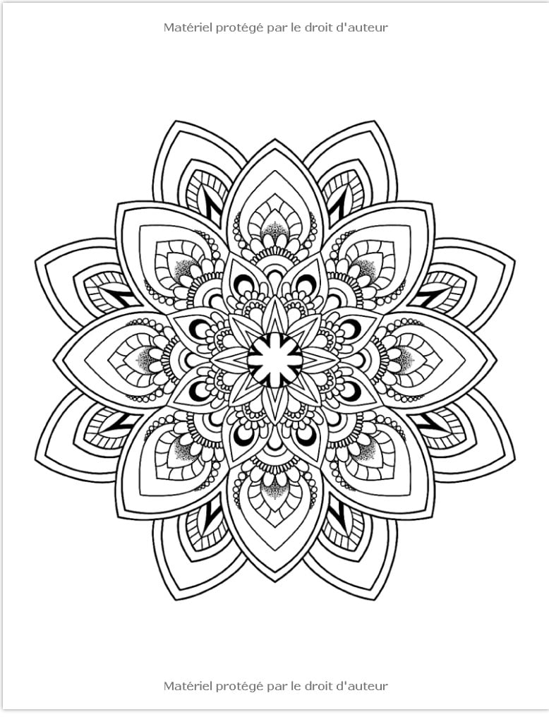 Art de Mandala Livre de Coloriage Adulte Anti Stress. 50 Mandalas a Colorier