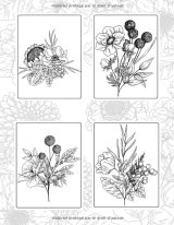 Livre de Coloriage Adulte Fleurs Livre De Coloriage Anti Stress Adultes