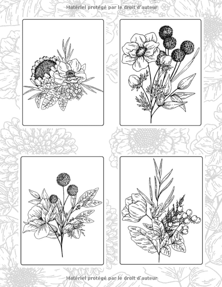 Livre de Coloriage Adulte Fleurs Livre De Coloriage Anti Stress Adultes