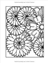 Magnifiques Bouquets Livre de coloriage de Fleurs pour adultes, 110 pages
