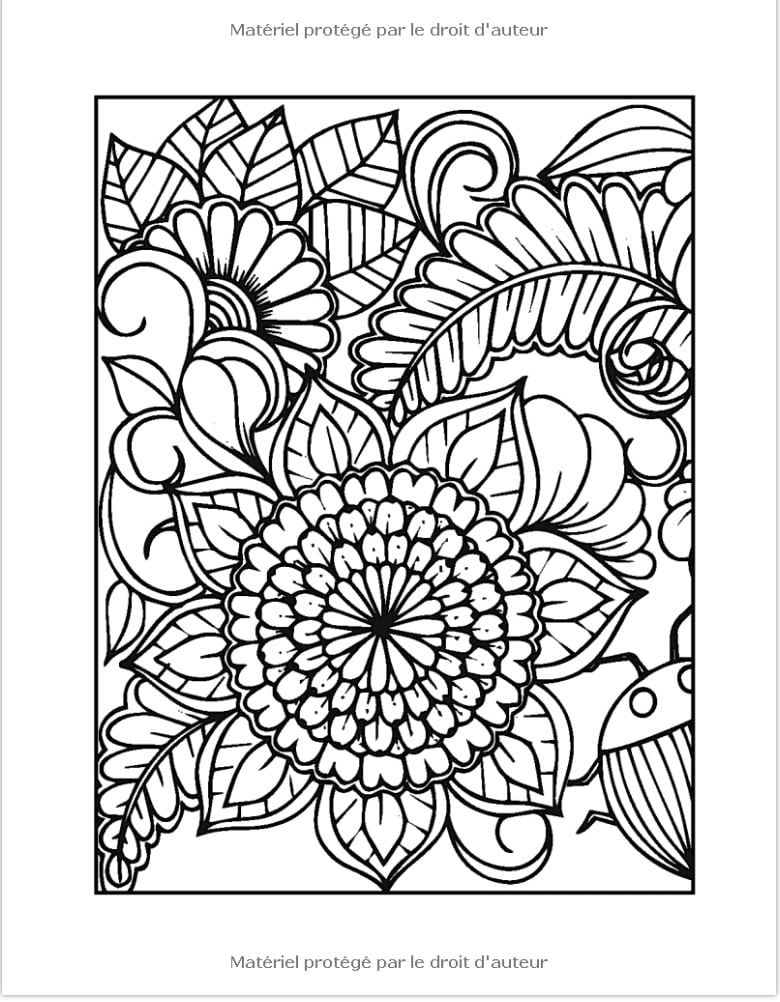Magnifiques Bouquets Livre de coloriage de Fleurs pour adultes, 110 pages