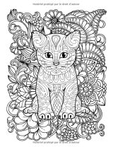 100 Chats Livre de Coloriage Plus de 100 pages à colorier