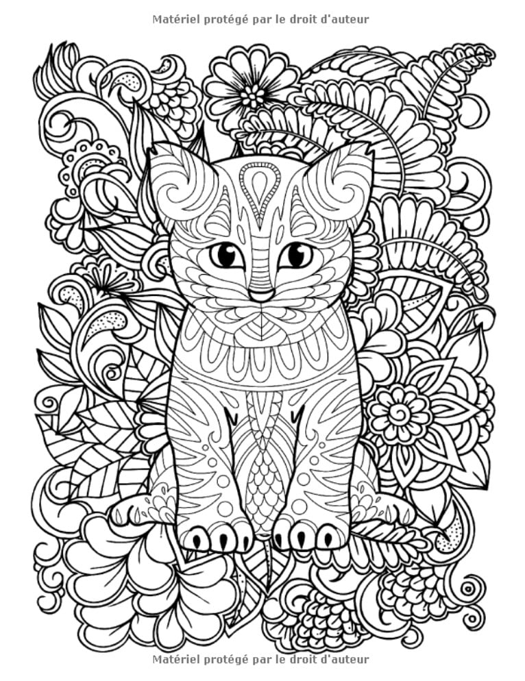 100 Chats Livre de Coloriage Plus de 100 pages à colorier