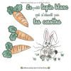 Le Petit Lapin Blanc Qui N’aimait Pas Les Carottes – Livre Histoire Du Soir Pour Les Tout Petits