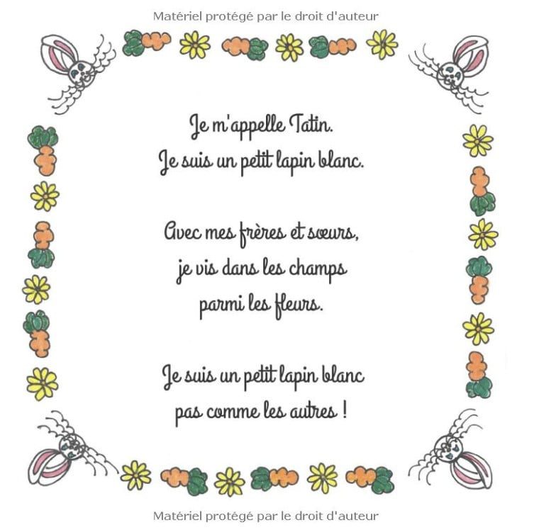 Le Petit Lapin Blanc Qui N’aimait Pas Les Carottes – Livre Histoire Du Soir Pour Les Tout Petits