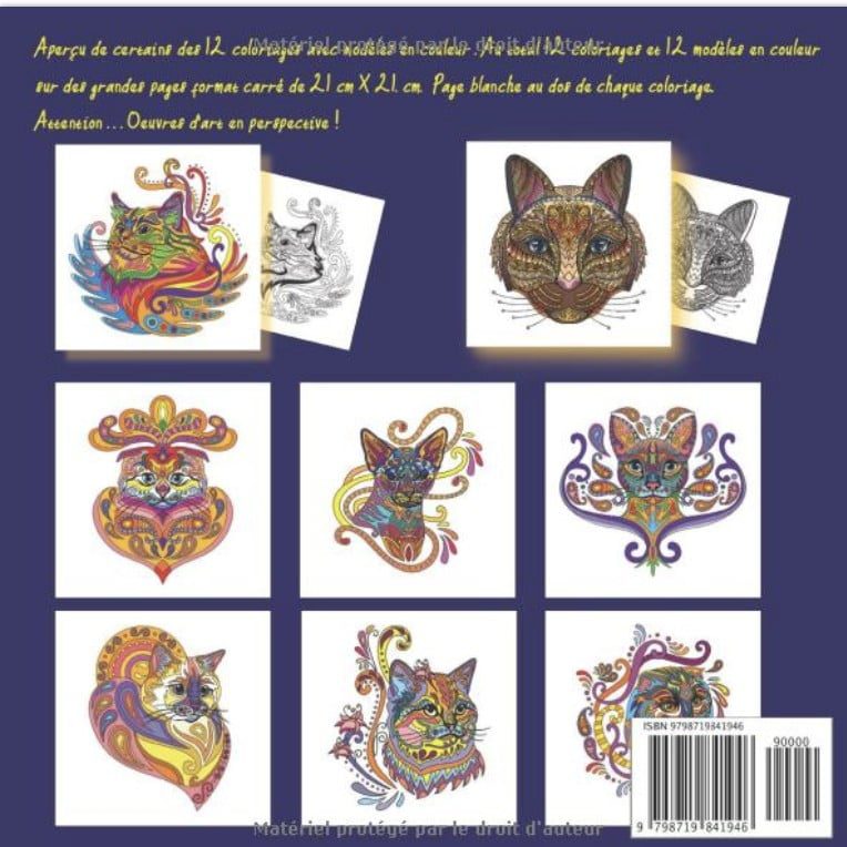 Mini Coloriage Chat 12 Designs Uniques avec Modèle en Couleur