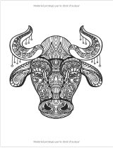 Mini Coloriage Mandala Zentangle 20 Coloriages Animaux Stylisés avec Modèle en Couleur