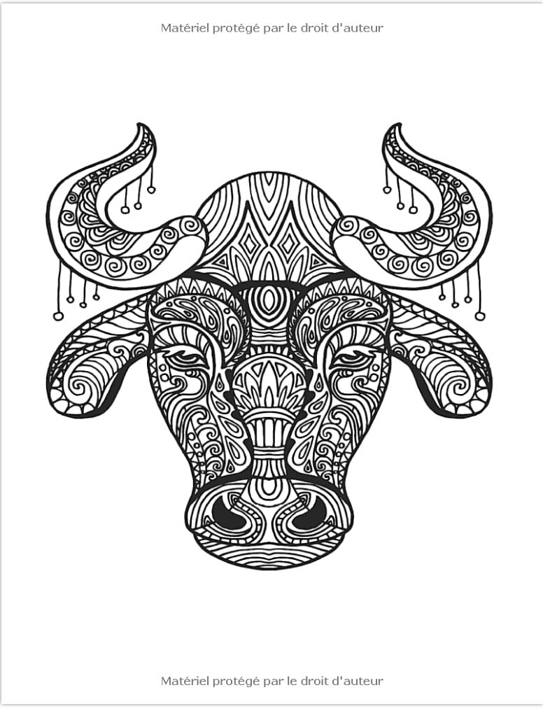 Mini Coloriage Mandala Zentangle 20 Coloriages Animaux Stylisés avec Modèle en Couleur