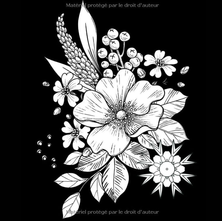 LIVRE DE COLORIAGE ADULTE FLEURS DE MINUIT : Cahier de coloriage floral