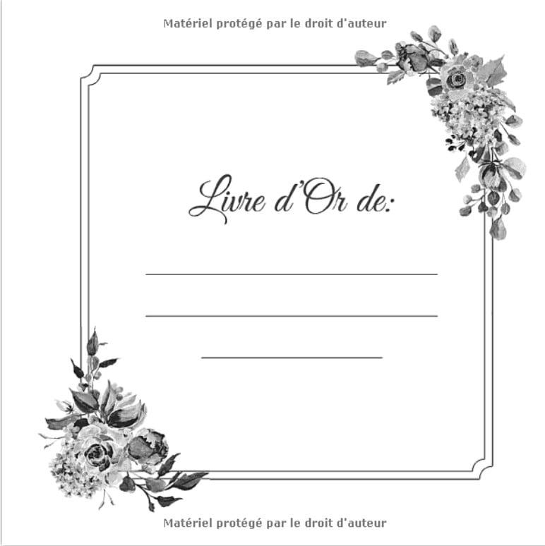 Le Livre d'or de mon Enterrement de Vie de Jeune Fille Livre d'or pour EVJF - Idée cadeau pour la future mariée