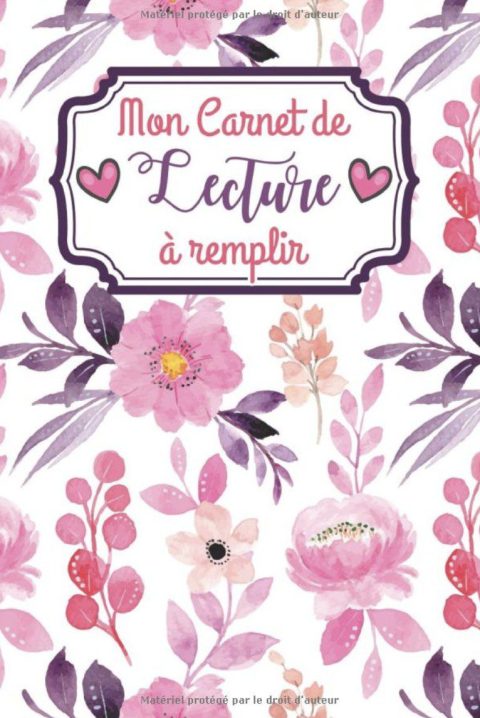 Carnet de lecture à remplir 100 fiches de lecture à compléter