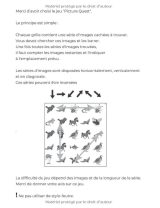 Picture Quest - cherche et trouve où se cachent les séries d'images