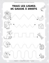 Cahier d'activités + de 200 pages pour apprendre et s'amuser à la maison Jeux et exercices ludiques et éducatifs