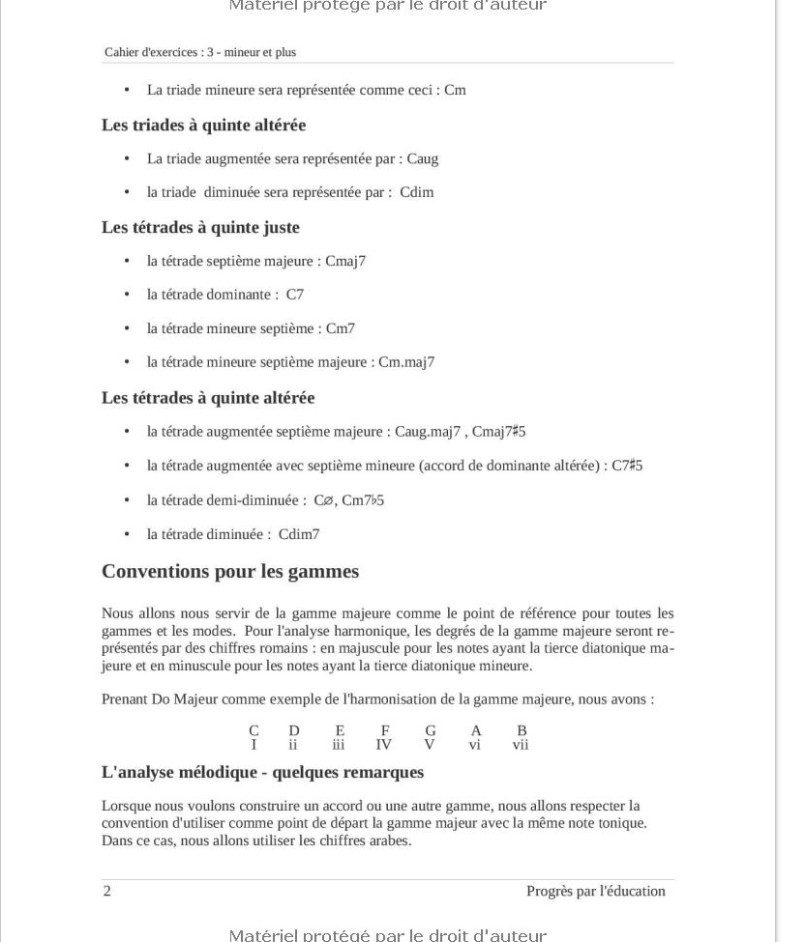 Le cahier d'exercices  tome 3 - mineur et plus