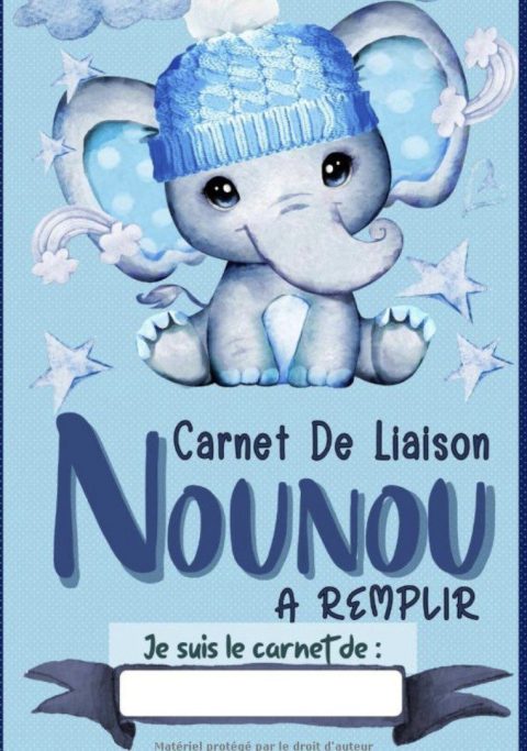 CARNET DE LIAISON NOUNOU à Remplir PARFAIT pour mener à bien la Correspon