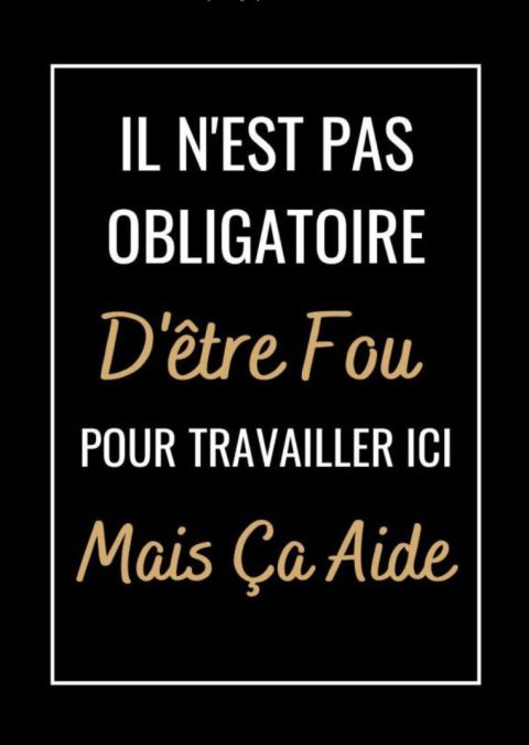 Il n'est pas Obligatoire D'être Fou Un carnet de notes drôle pour les travailleurs et collègues au travail