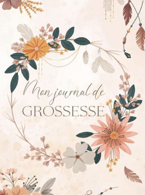 Journal de grossesse Livre de grossesse (naissance et première année de bébé)