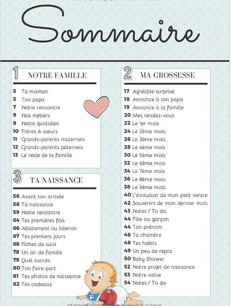 Mon livre de grossesse De la grossesse à la première année de bébé – Cadeau idéal pour future maman