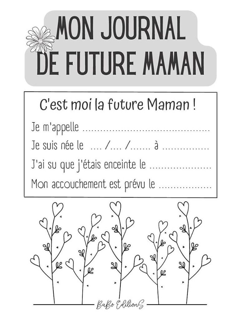 MON JOURNAL DE FUTURE MAMAN (CIGOGNE) CARNET DE GROSSESSE à remplir semaine après semaine
