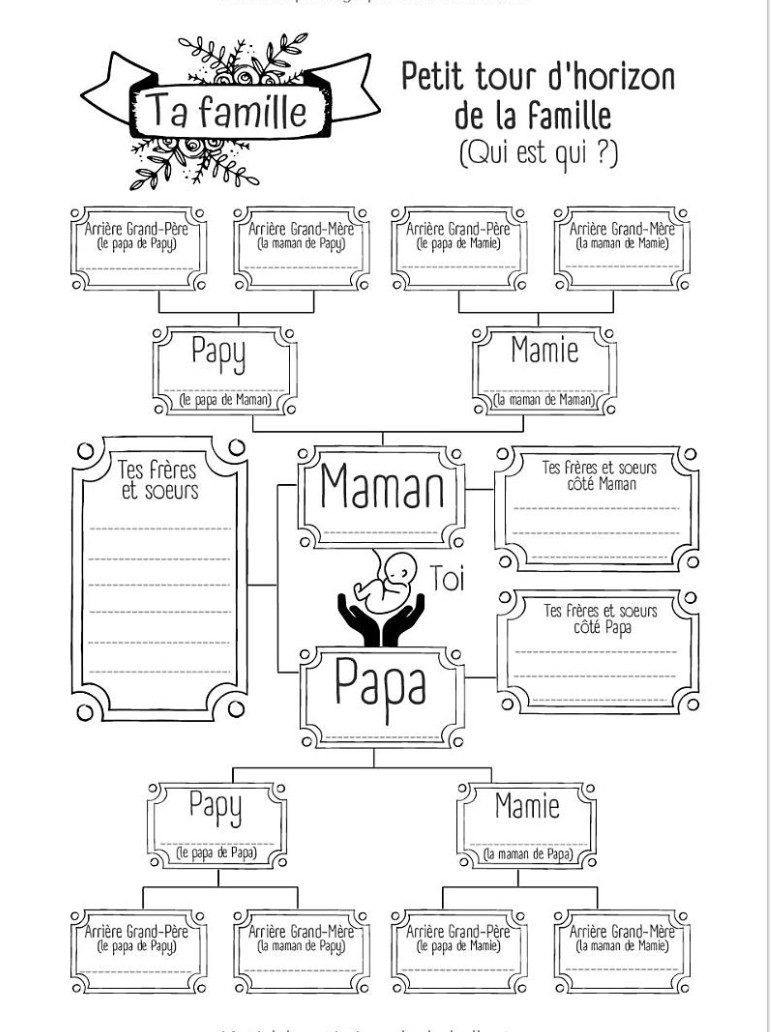 MON JOURNAL DE FUTURE MAMAN (CIGOGNE) CARNET DE GROSSESSE à remplir semaine après semaine