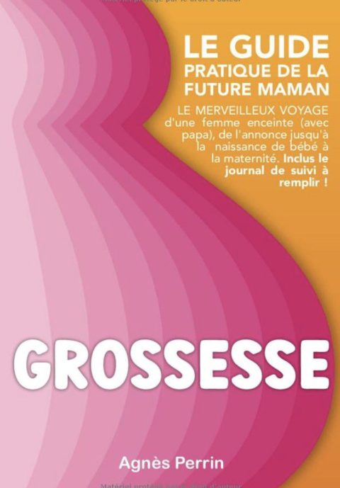 Grossesse Le guide pratique de la future maman Le merveilleux voyage d'une femme enceinte