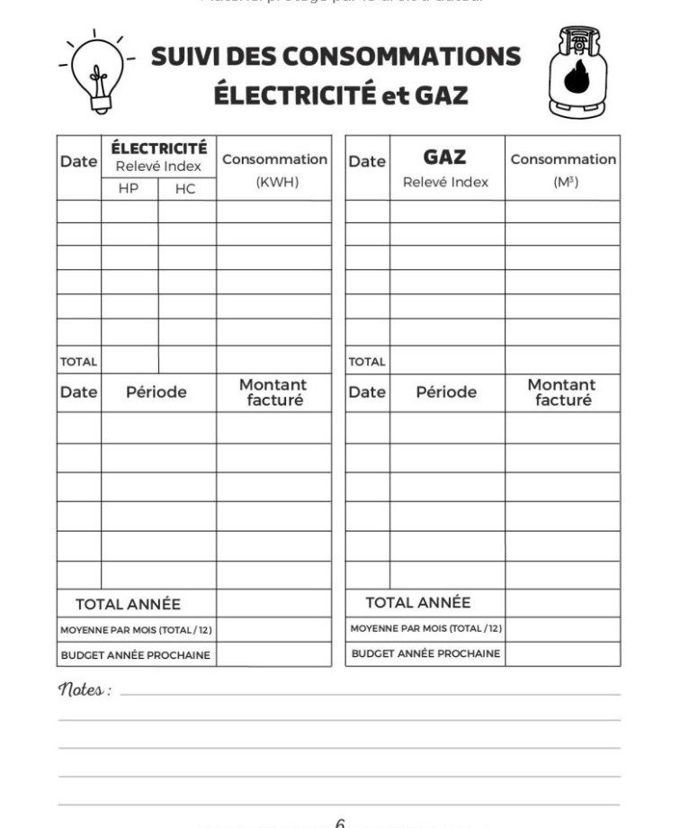 BUDGET FAMILIAL Livre de comptes - Agenda sur 12 mois non daté