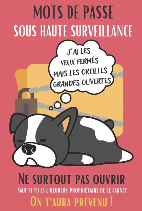 MOTS DE PASSE sous HAUTE SURVEILLANCE - Carnet MOTS DE PASSE INTERNET alphabétique