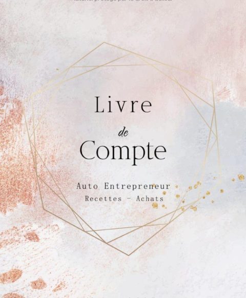 Livre de Compte Auto Entrepreneur registre recettes achats