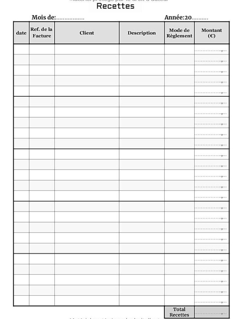 Livre de Compte Recette Dépense Cahier de tenue de compte pour Auto-entrepreneurs, Micro-entrepreneurs