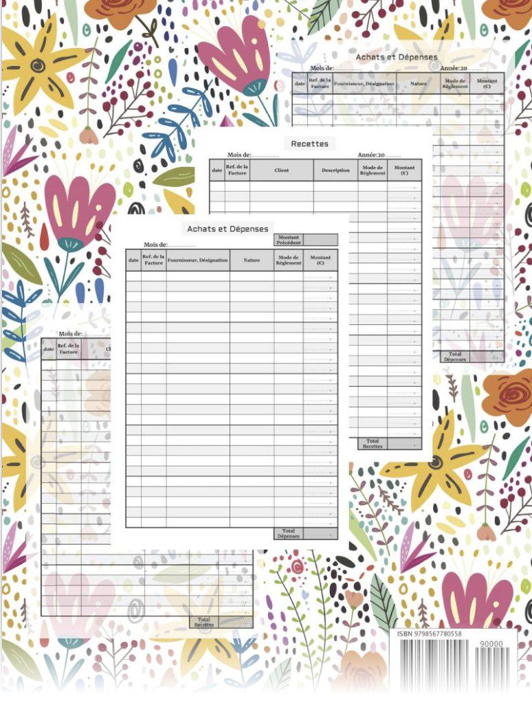 Livre de Compte Recette Dépense Cahier de tenue de compte pour Auto-entrepreneurs, Micro-entrepreneurs