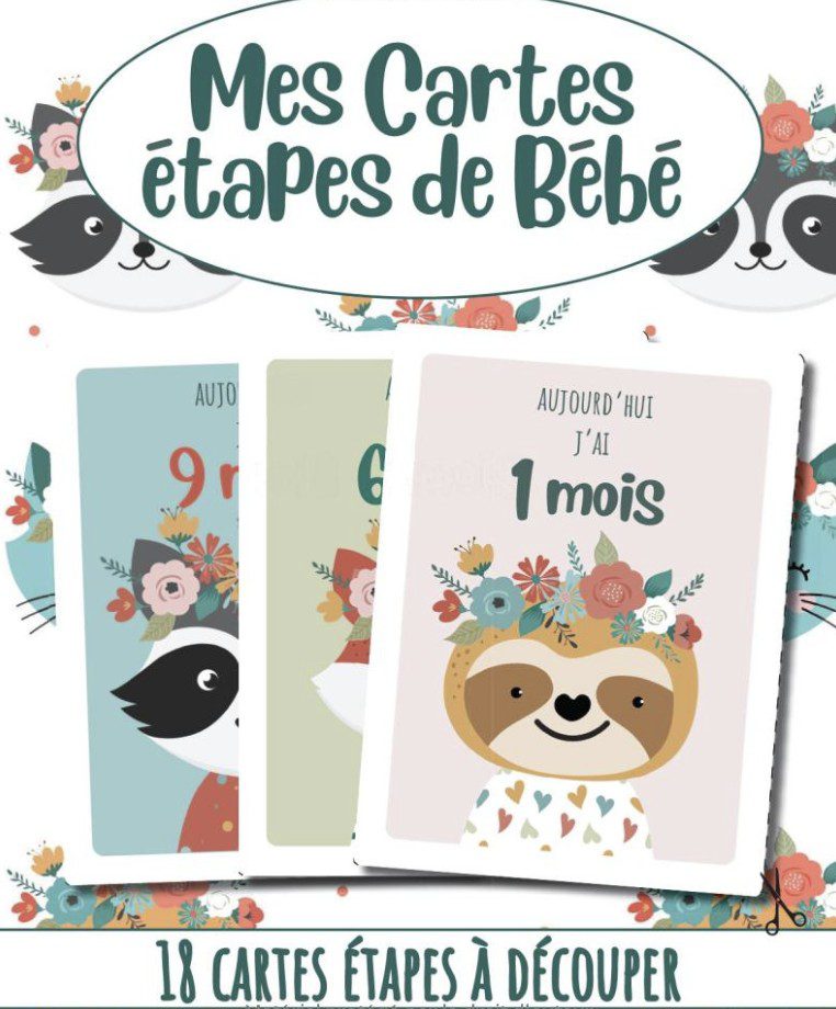 Carte étapes Bébé – 18 cartes étapes à découper Cadeau de naissance