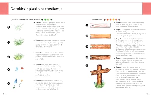 Techniques de coloriage : Apprenez à colorier comme un pro avec ce guide complet