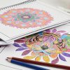 Pobuu Lot de 3 Livres de Coloriage pour Adultes : Mandalas, Fleurs, Animaux - Relaxation et Créativité