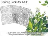 Pobuu Lot de 3 Livres de Coloriage pour Adultes : Mandalas, Fleurs, Animaux - Relaxation et Créativité