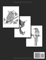 Mandala Oiseaux – Livre de coloriage pour adultes, 55 motifs anti-stress | 110 pages | Format A4