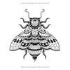 Mandalas Animaux – Livre de coloriage adulte pour la relaxation (49 motifs animaliers)