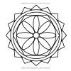 50 Mandalas – Livre de Coloriage Anti-Stress pour Adultes, 100 Pages, Format Carré 21,59 cm, Pages Unilatérales