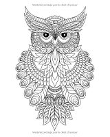 Chouettes – Livre de coloriage pour adultes, mandalas d’hiboux antistress, 51 illustrations, grand format 20,32 x 25,4 cm