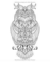 Chouettes – Livre de coloriage pour adultes, mandalas d’hiboux antistress, 51 illustrations, grand format 20,32 x 25,4 cm