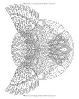 Chouettes – Livre de coloriage pour adultes, mandalas d’hiboux antistress, 51 illustrations, grand format 20,32 x 25,4 cm