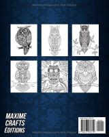 Chouettes – Livre de coloriage pour adultes, mandalas d’hiboux antistress, 51 illustrations, grand format 20,32 x 25,4 cm