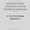 Mini Mandalas Dans Ta Poche ! Vol. 3 – Livre de coloriage mandala 6x6, 30 motifs relaxants, format petit et élégant