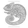 Mandala des animaux – Livre de coloriage anti-stress | 90 pages, motifs d’animaux détaillés
